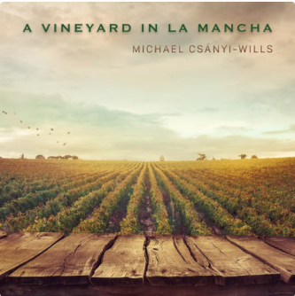 Vineyard in La Mancha